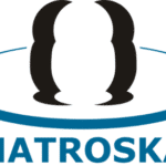 codecs y programas gratis matroska