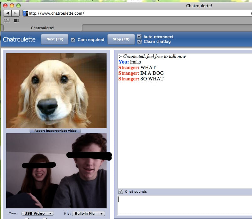 Chatroulette Gay. 