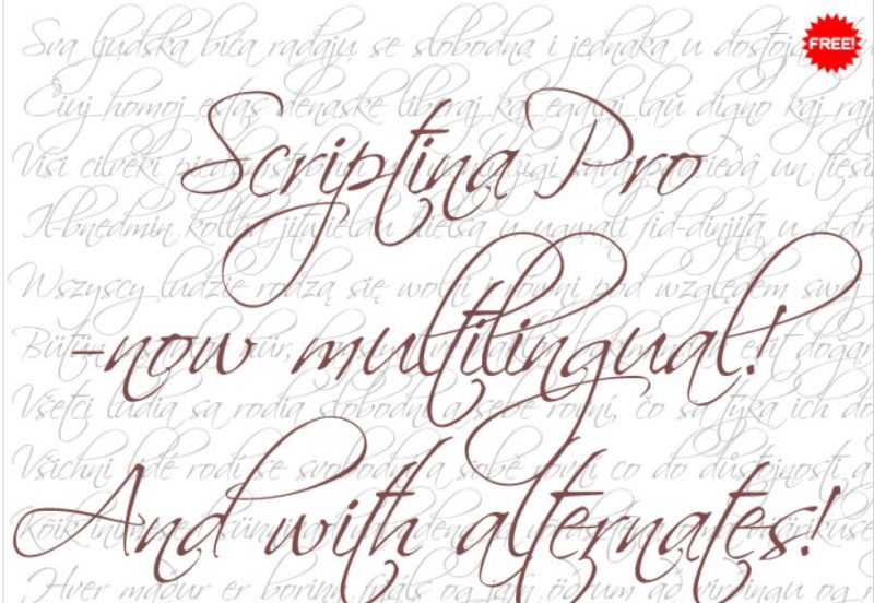 Scriptina Pro Font