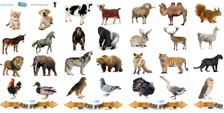 Sonidos de animales